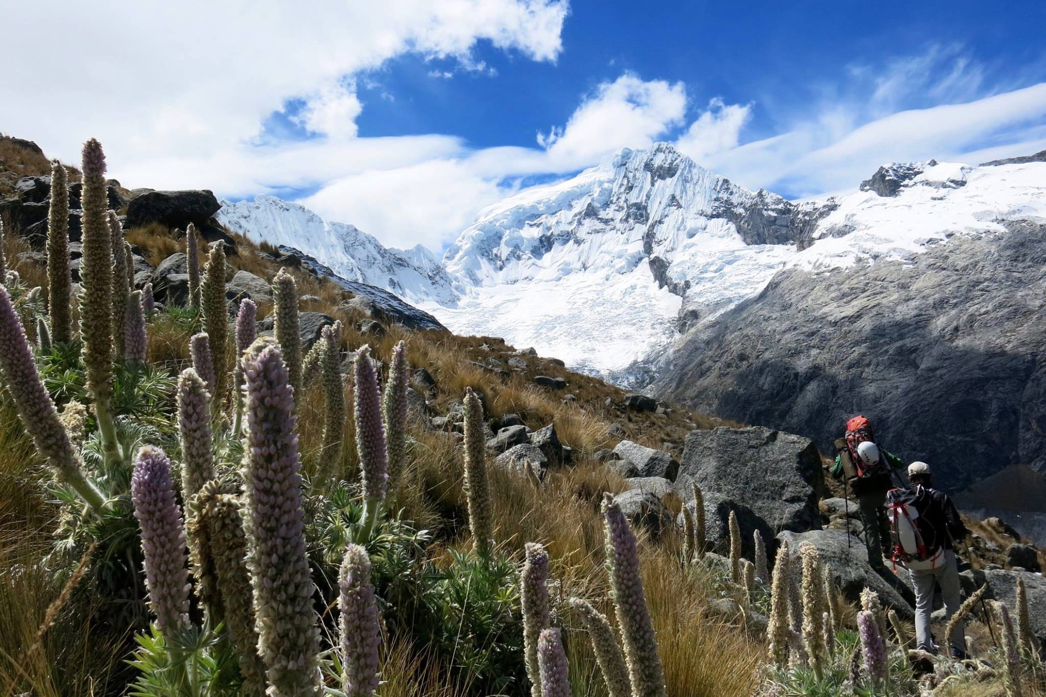 Nevado Pisco Climb 4 days Peru FlashpackerConnect Adventure Travel